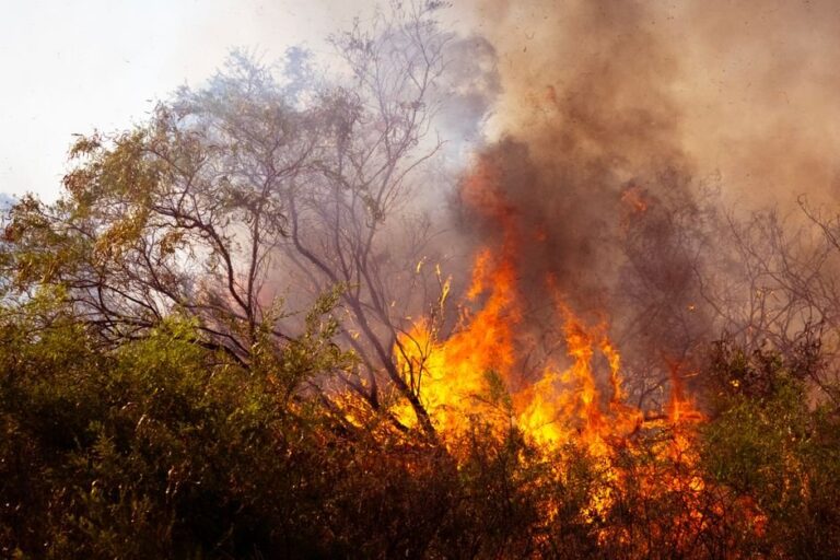 Heat Is Killing Us Quietly: America’s Deadliest Weather Threat