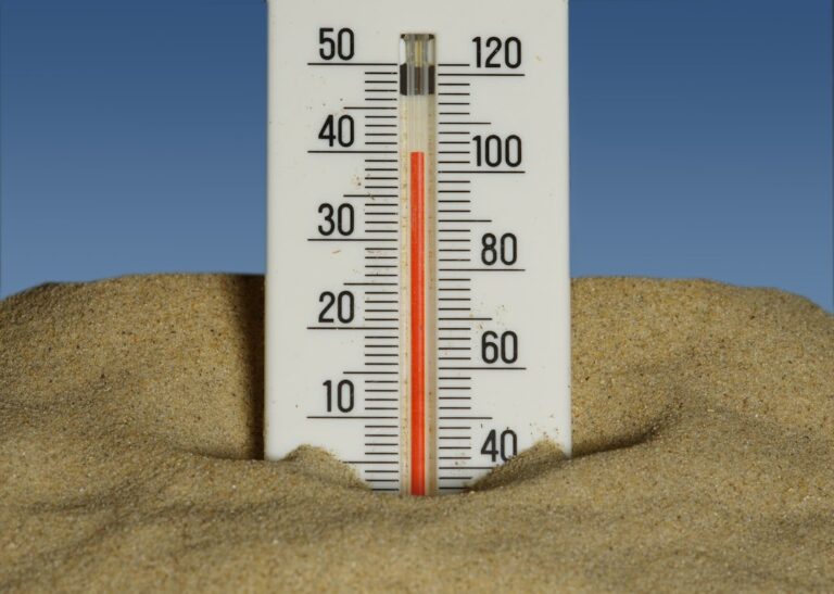 Extreme Heat Alerts Blanket 31 States: Heat Index Hits 115°F