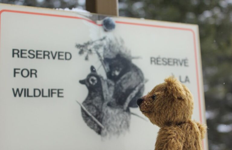 A Wildlife Regulator’s Family Business Had a Permit. She Stepped In.