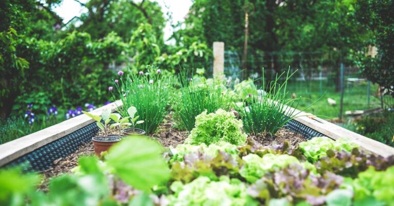 I Wanted an Eco-Garden. Nature Had Other Plans
