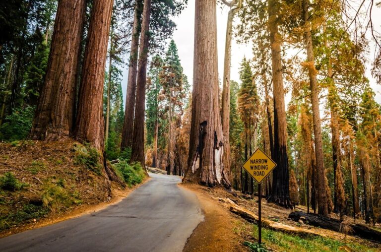 National Parks Can Keep Removing Signs Trump Calls ‘Negative’