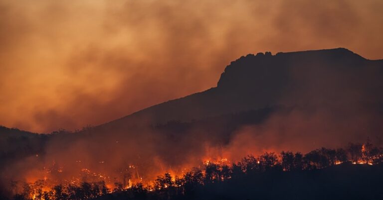 Trump Administration’s Cuts Put Wildfire Research in the Crosshairs