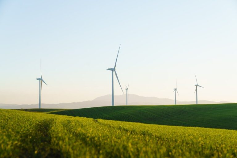Wind Turbine Blades: From Power Giants to Sustainable Products
